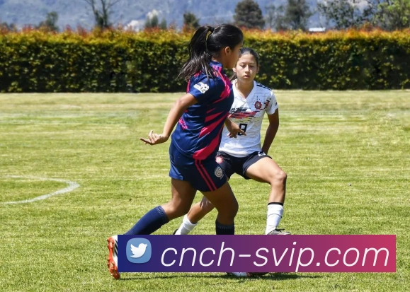 公海官网APP 高清赛事图